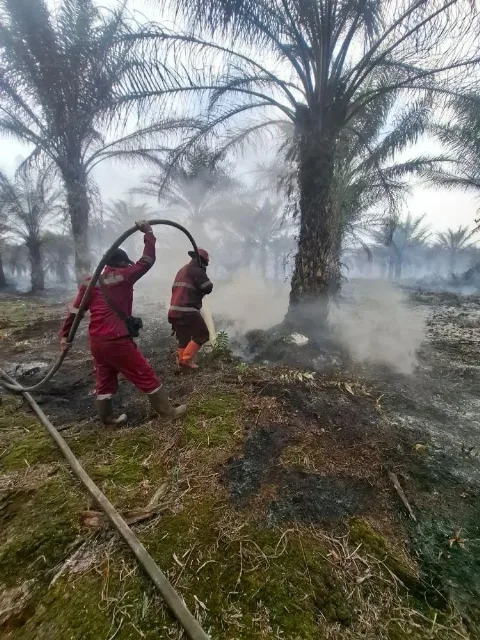Karhutla Riau Tembus 1.041 Ha di Awal 2026, Pelalawan Jadi Wilayah Terluas