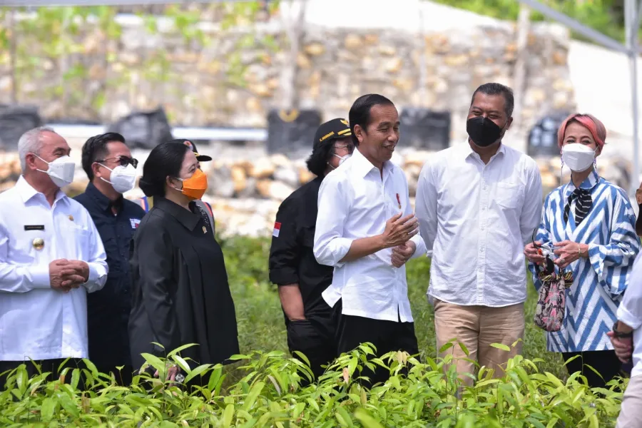 Presiden Jokowi: Persemaian Mentawir Bentuk Keseriusan Pemerintah Menata Lingkungan