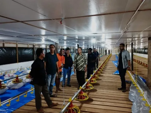 Sinergi PTPN V-PNM Perkuat UMKM Kampung Ayam Pedaging Kampar