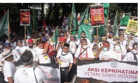 Babak Belur Harga TBS Petani Sawit