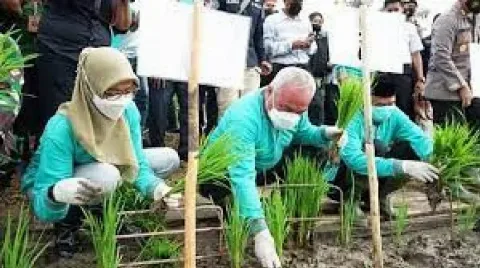 Dinas Pangan Salurkan Bantuan Tanaman Pangan dan Hortikultura