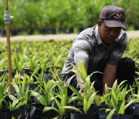Terapkan Digitalisasi, PPKS Lebih Mudah Pasarkan Benih