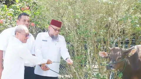 Minamas Plantation Donasikan 162 Sapi Hewan Kurban Kepada Masyarakat Sekitar Operasionalnya