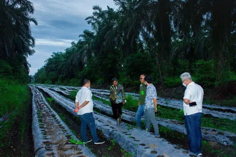 Aktivitas Industri Pengolahan Sawit Dongkrak Ekonomi Daerah