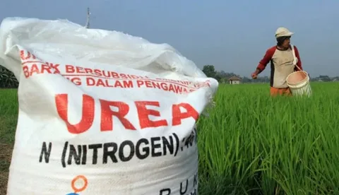 UGM Soroti Kebijakan Pupuk Bersubsidi Belum Tepat Sasaran