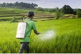 Kementerian Keuangan Tingkatkan Kordinasi dan Dorong Solusi Atasi Kerawanan Pangan dan Energi