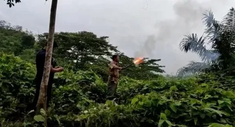 Si Raja Hutan Muncul di Areal Perkebunan, BBKSDA Sumut Kembali Lakukan Mitigasi