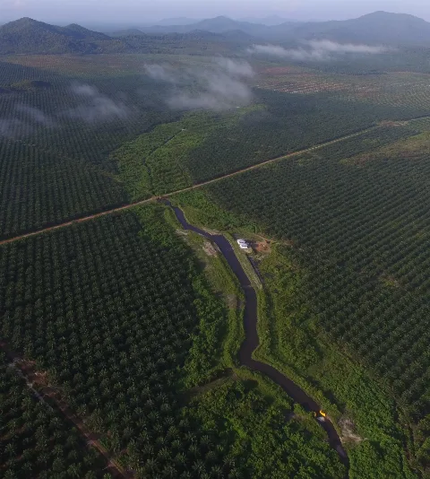 ANJ Manfaatkan Riset Untuk Tingkatkan Produktivitas dan Keberlanjutan