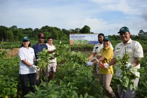 Bersama Kelompok Tani Tuah Berkarya, SMM Panen Edamame 170 Kg