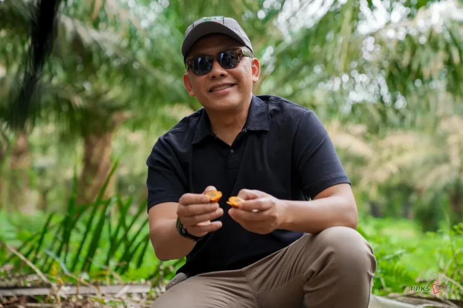 Laba Unaudited Tembus Rp6 T, Ini Langkah PalmCo Capai Lompatan Kinerja