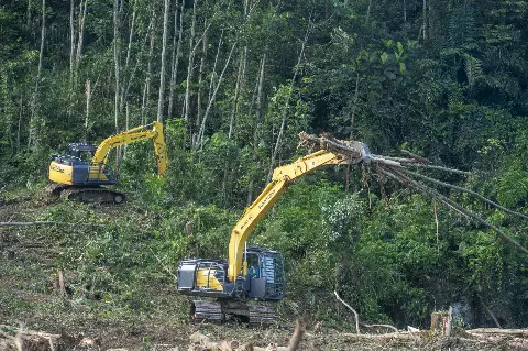 MACAN Sumitomo SH130LF-6 Bekerja Maksimal di Perkebunan HTI, Dekat Calon Ibukota Negara Baru