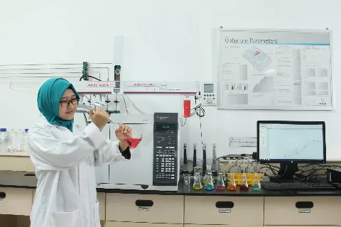 Peranan Agronomy Researcher Dalam Memajukan Perkebunan Kelapa Sawit
