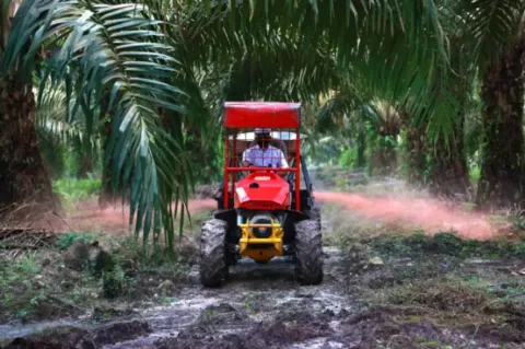 Air Molek 2 Siap Replanting 862 Hektare Sawit Renta pada 2026