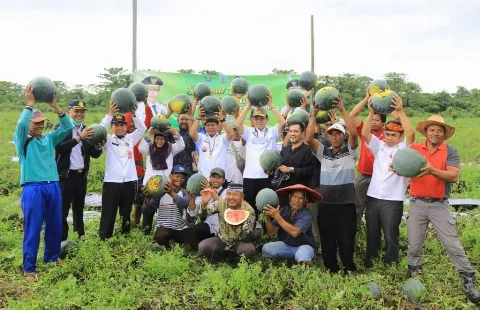 Omzet Menjanjikan, Gubernur Ajak Generasi Muda untuk Bertani