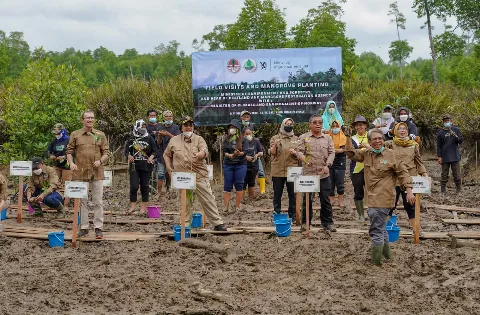 Menteri LHK Indonesia Ajak Menteri Iklim Dan LH Norwegia Ke Salah Satu Titik Rehabilitasi Mangrove
