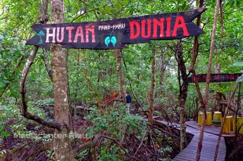 Riau Terima Peta Mangrove Nasional Terbaru, Ini Manfaatnya