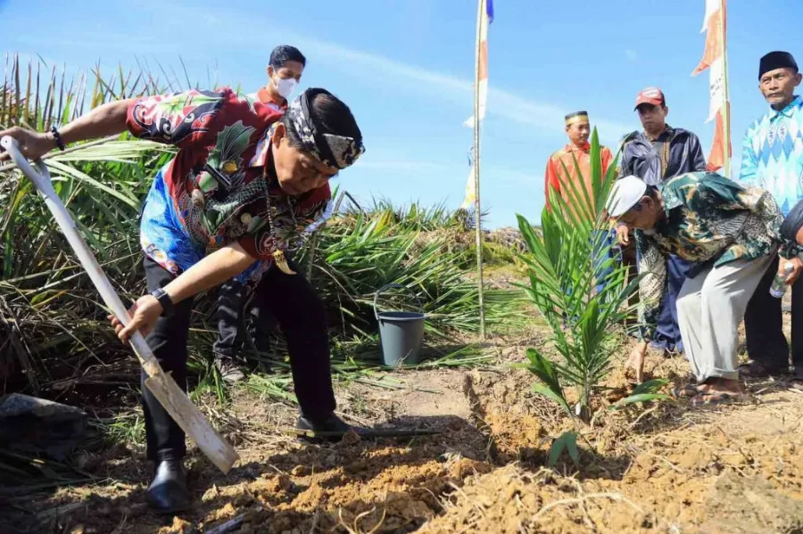 Tanam Sawit Rakyat Dan Integrasi Jagung, Gubernur Harap Petani Tak Andalkan Satu Komoditi