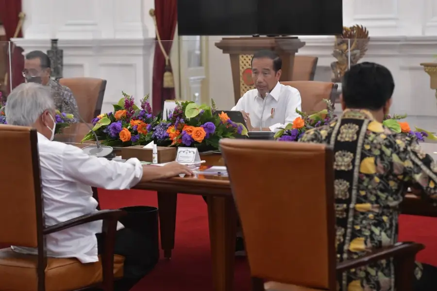 Presiden Minta Pengembangan Lumbung Pangan Dimaksimalkan