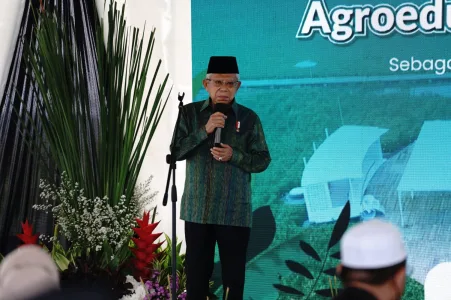 Wapres Maruf Amin Apresiasi Kemajuan Sektor Pertanian Indonesia