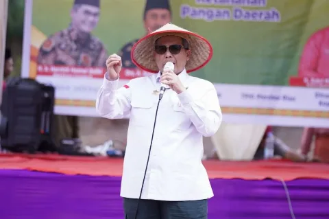 Kunker ke Riau, Begini Pesan Wakil Menteri Pertanian untuk Pemda
