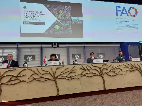 FOLU Net Sink 2030 Dengan SOIFO Mendunia Di FAO