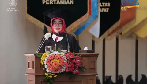 Pertanian Lahan Gambut Prospek Untuk Dikembangkan