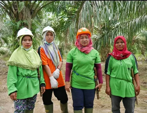 CPOPC Tampilkan Peranan Petani Sawit Perempuan Dalam  Pembangunan Pedesaan dan Keberlanjutan