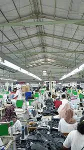 Sebagai Katalis Pertumbuhan Ekonomi dan Menjaga Inflasi, Wamenkeu: APBN dan APBD Untuk Belanja Produksi Dalam Negeri