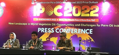 APINDO: Pemerintah Harus Berhati-hati Membuat Kebijakan Sawit