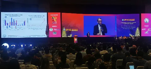 Oil World: Pertumbuhan Industri Sawit Kehilangan Momentum, Produktivitas Turun