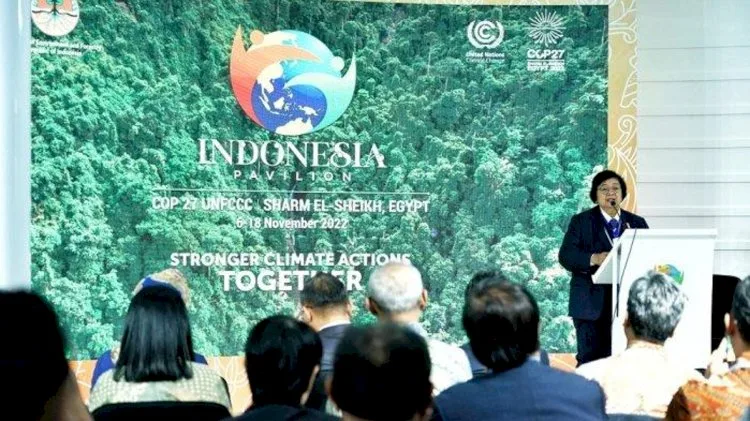 Perhelatan COP-27, Pembuktian Sawit Indonesia Dalam Perubahan Iklim