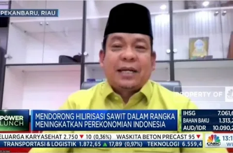 SDM Hingga Teknologi, Kendala Hilirisasi Sawit RI