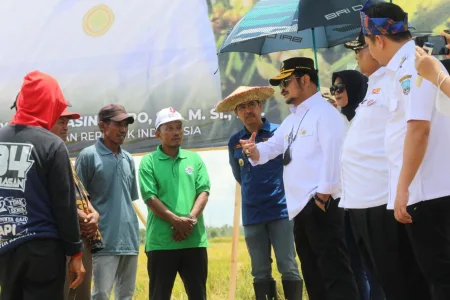 Gelar Panen Raya di Kolaka Timur, Mentan SYL Apresiasi Petani Tingkatkan Produktivitas