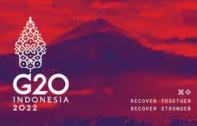 Indonesia, Satu-satunya Negara Produsen CPO Yang Menjadi Anggota G20