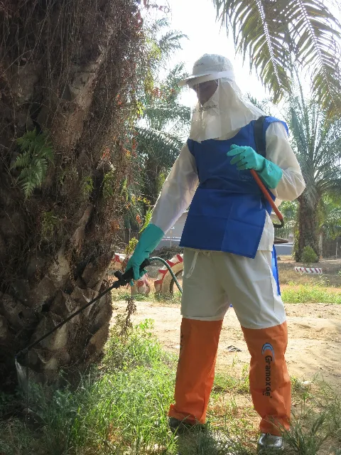 Palm Oil Producing Countries’ Quality Assurance For the EU