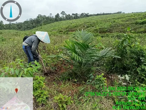 Belajar Kelola Danar PSR dari KUD Sriwijaya
