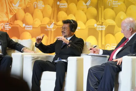 Mentan Ajak Negara G20 Kuatkan Pangan Sebagai Pilar Kemanusiaan
