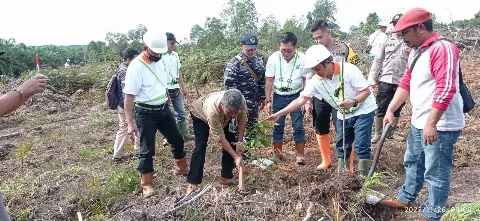 Sambut Hari Menanam Pohon, BGA Tanam 50.000 Pohon di Kalimantan dan Riau