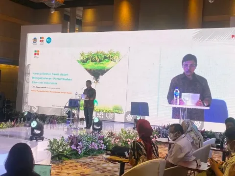 Kelapa Sawit Penopang Perekonomian Indonesia