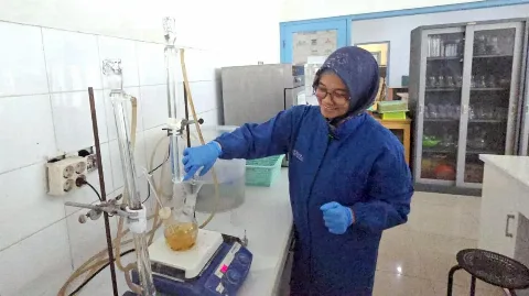 Realitas Sawit Indonesia: Tanaman Menua, Tergerus Ganoderma, Siapkah Menopang B50?