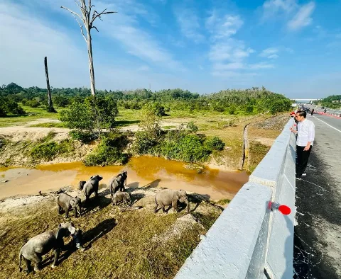 Presiden Tekankan Pembangunan Infrastruktur harus Ramah Lingkungan