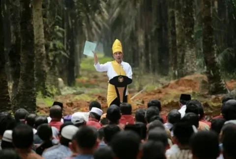 Presiden Jokowi Setujui Perubahan Perpres ISPO, Ini Tiga Pertimbangannya