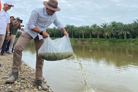 PTPN V Tingkatkan Kelestarian Sungai