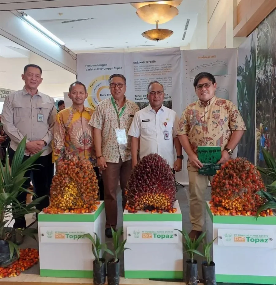 Benih Topaz Pilihan Terbaik untuk Produktivitas Tinggi