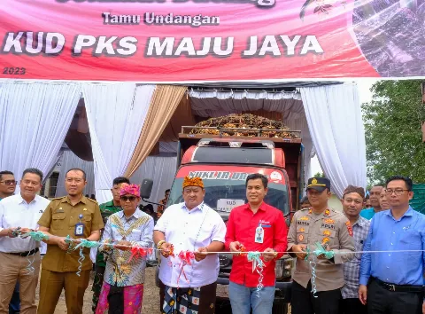 Petani Plasma Wilmar Tingkatkan Produktivitas Dua Kali Lipat, Ini Rahasianya