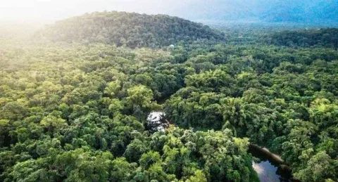 Tidak Ada Kawasan Hutan Tanpa Melalui Proses dan Tahapan Pengukuhan