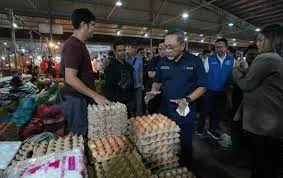 Harga Bapok di Medan dan Sekitarnya Terpantau Stabil