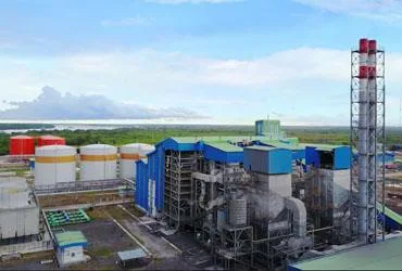 Raup Penjualan Rp13,97 Triliun, Inilah Sumber Utama Pemasukan Citra Borneo Sepanjang 2025