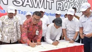 Peremajaan Sawit di Riau, Gandeng 4 Bank