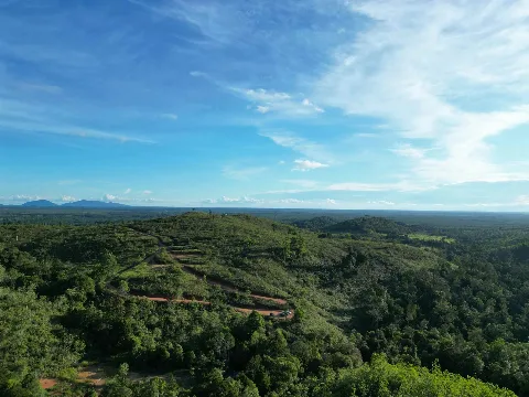 Belajar dari Hutan: Tentang Menjaga dan Bertumbuh Bersama 
